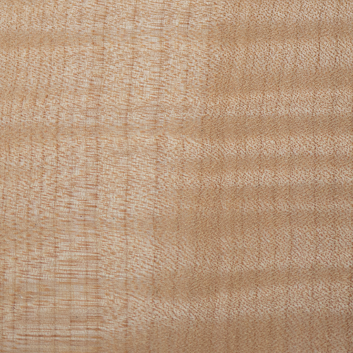 Curly Maple Wood & Lumber