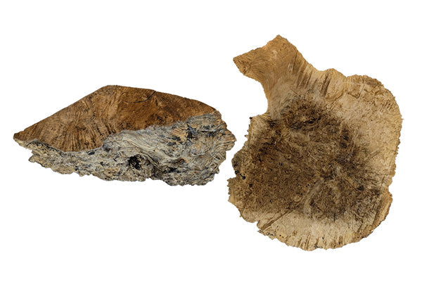 Maple Burl & Maple Burl Caps 