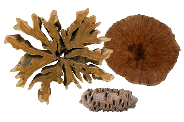 Burls & One of a Kind 