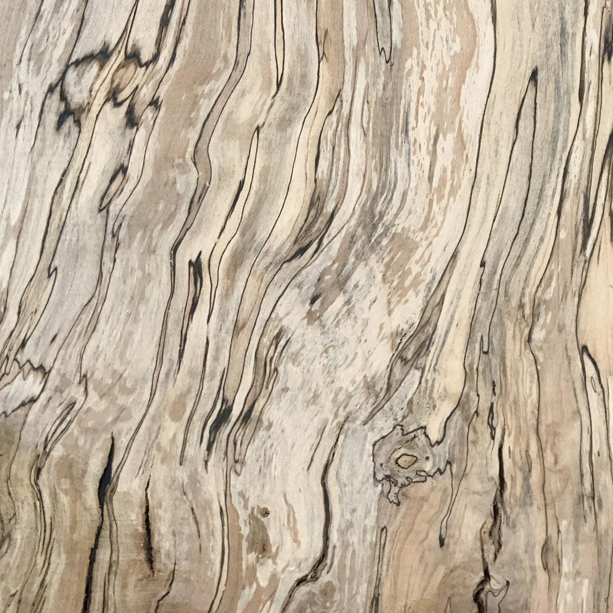 Spalted Beech — KJP Select Hardwoods