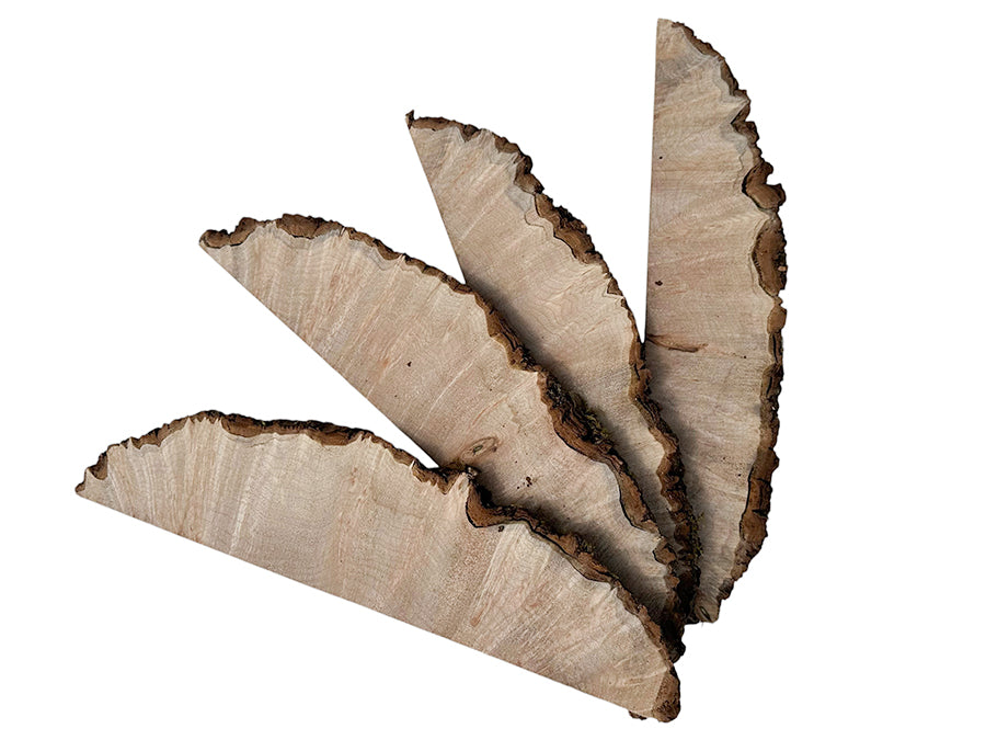 Big Leaf Maple Burl Slices Pack 700157