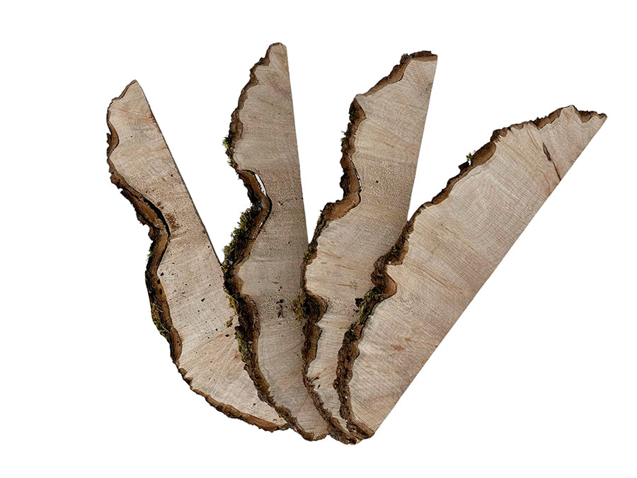 Big Leaf Maple Burl Slices Pack 700158