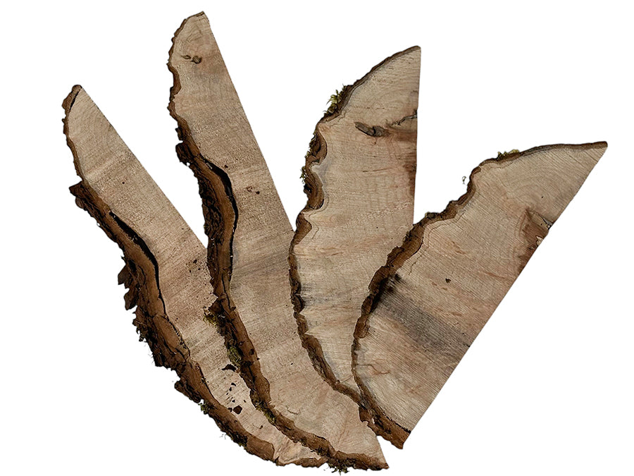 Big Leaf Maple Burl Slices Pack 700159