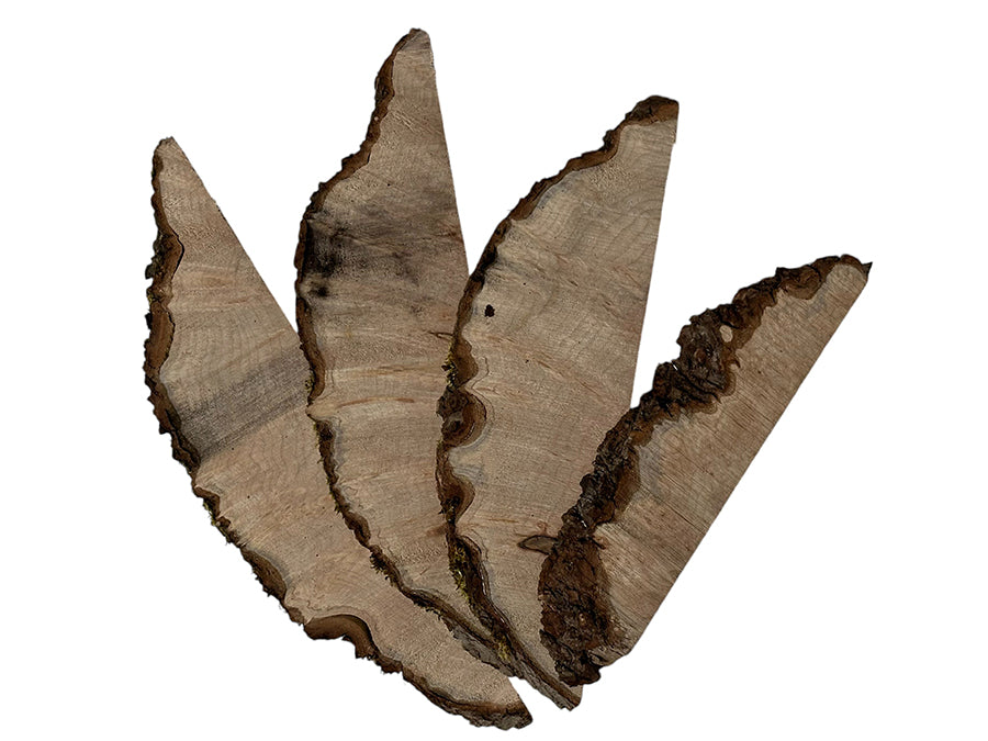 Big Leaf Maple Burl Slices Pack 700160