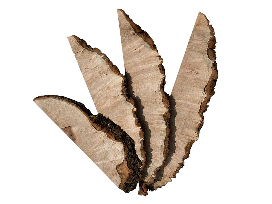 Big Leaf Maple Burl Slices Pack 700161