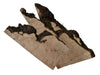 Big Leaf Maple Burl Slices Pack