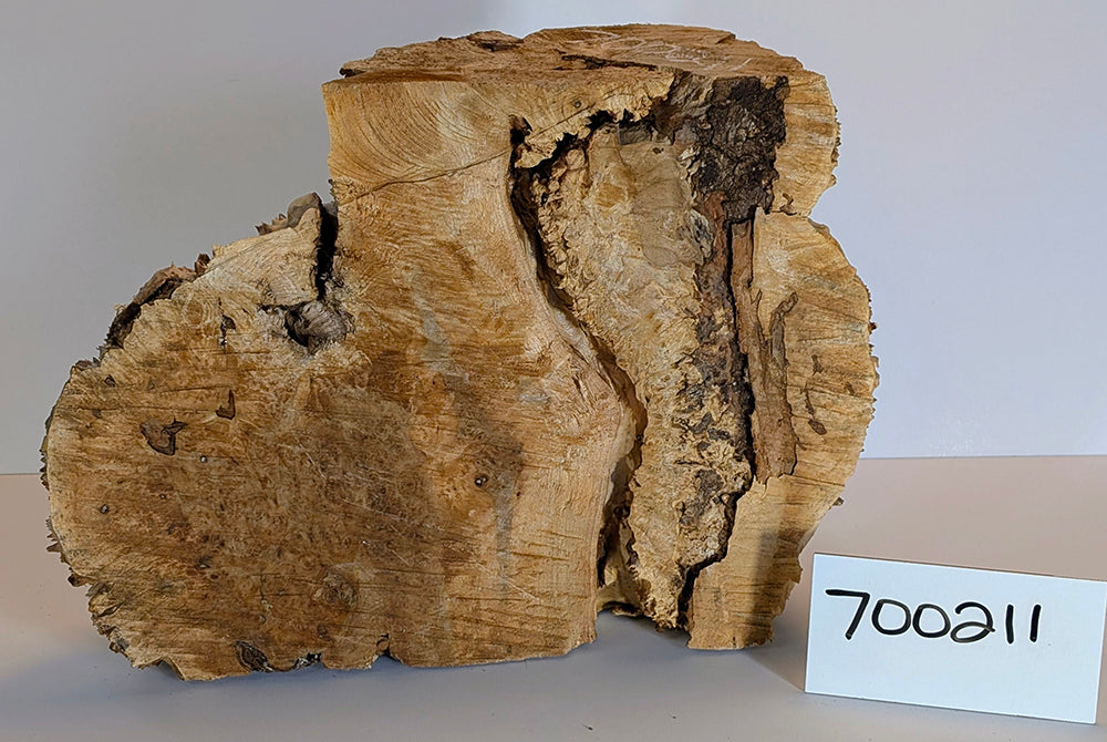 Maple Burl #700211