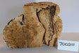 Maple Burl #700211