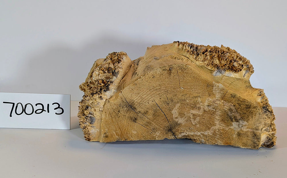 Maple Burl #700213