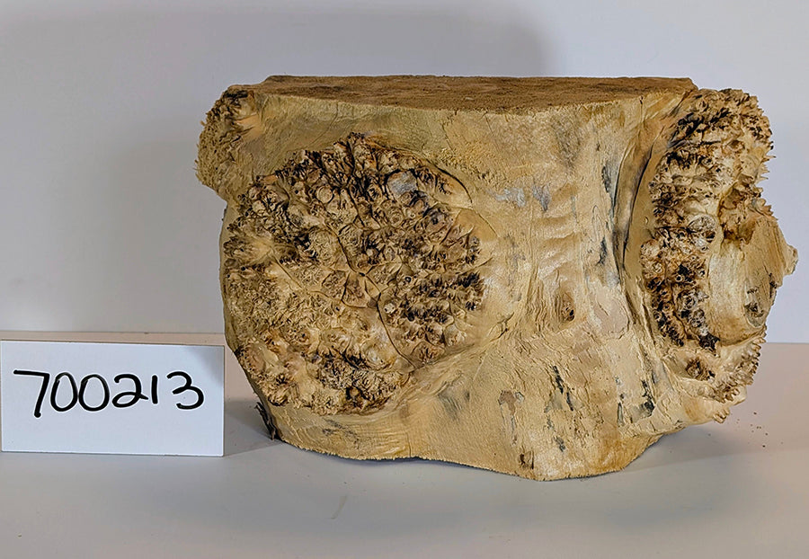 Maple Burl #700213