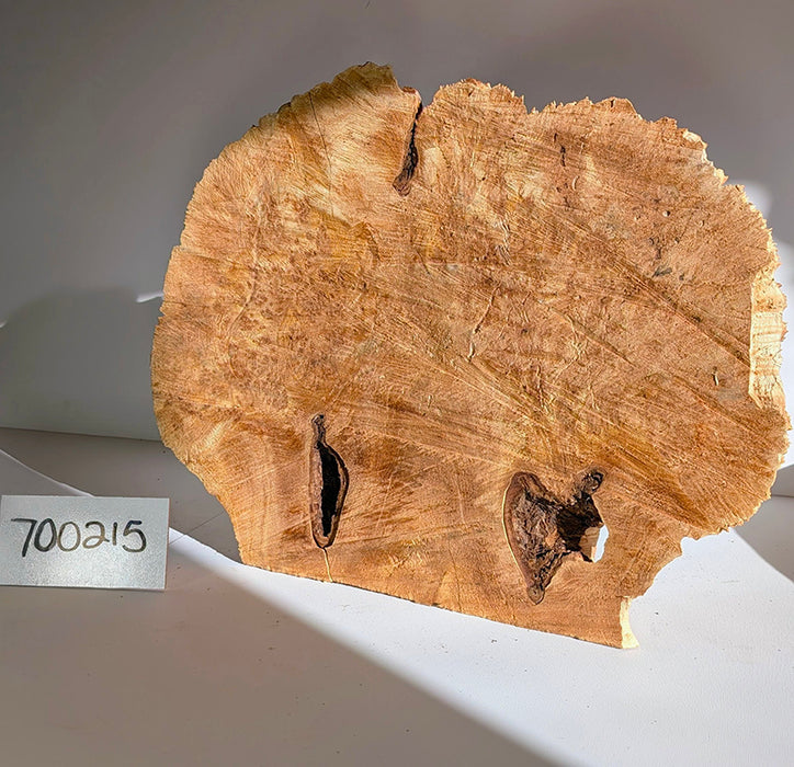 Maple Burl #700215