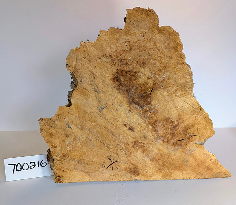 Maple Burl #700216