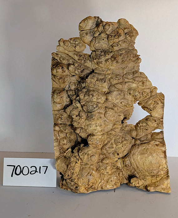 Maple Burl #700217