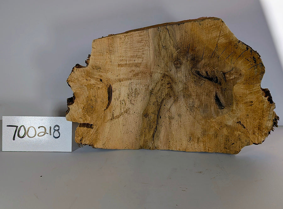 Maple Burl #700218