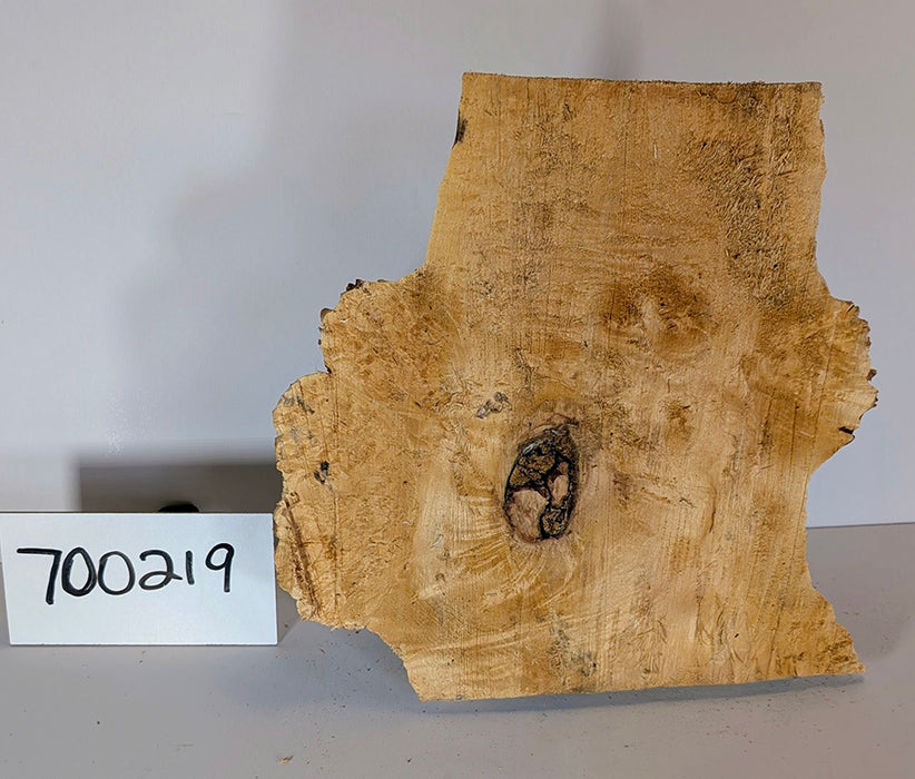 Maple Burl #700219