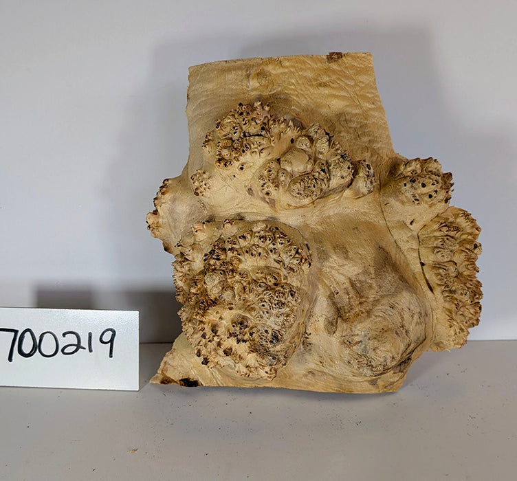 Maple Burl #700219