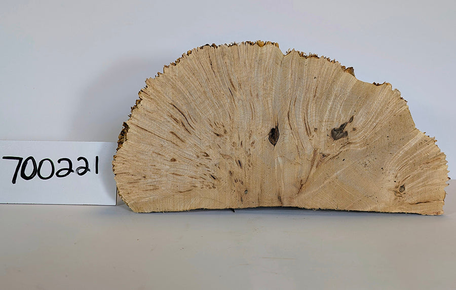 Maple Burl #700221