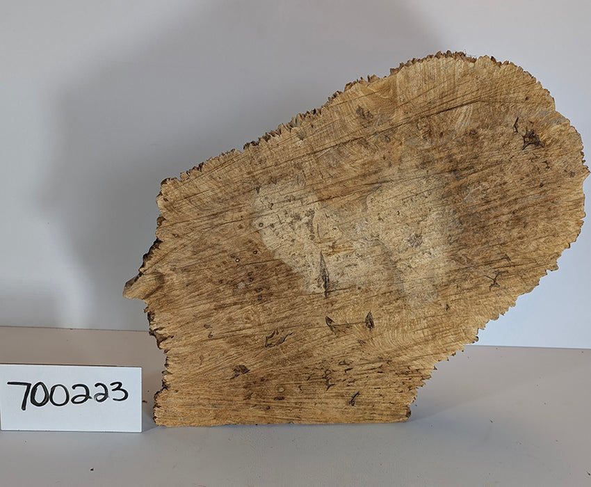 Maple Burl #700223