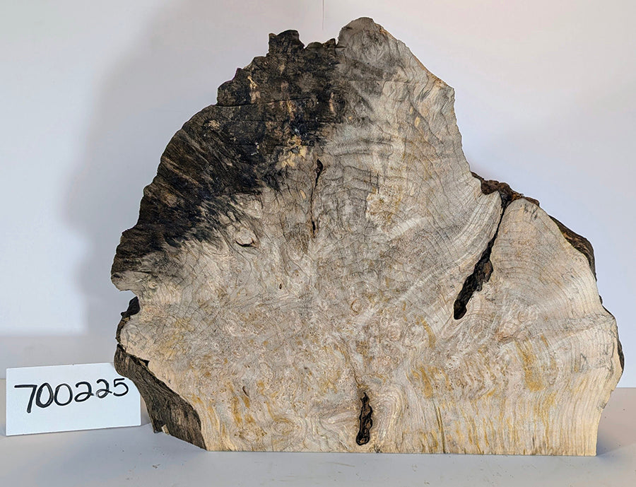 Maple Burl #700225
