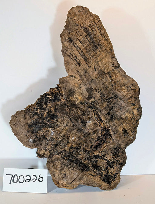 Maple Burl #700226