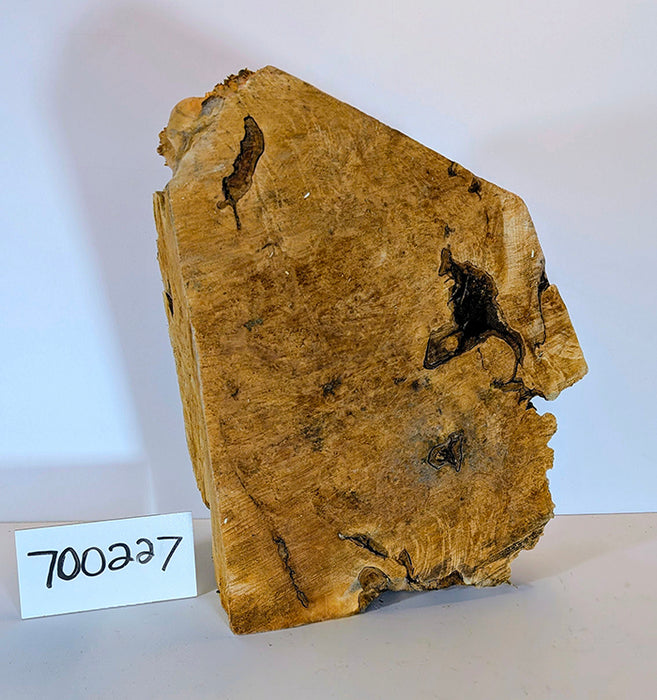 Maple Burl #700227