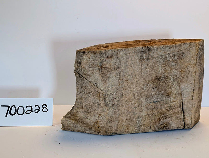 Maple Burl #700228