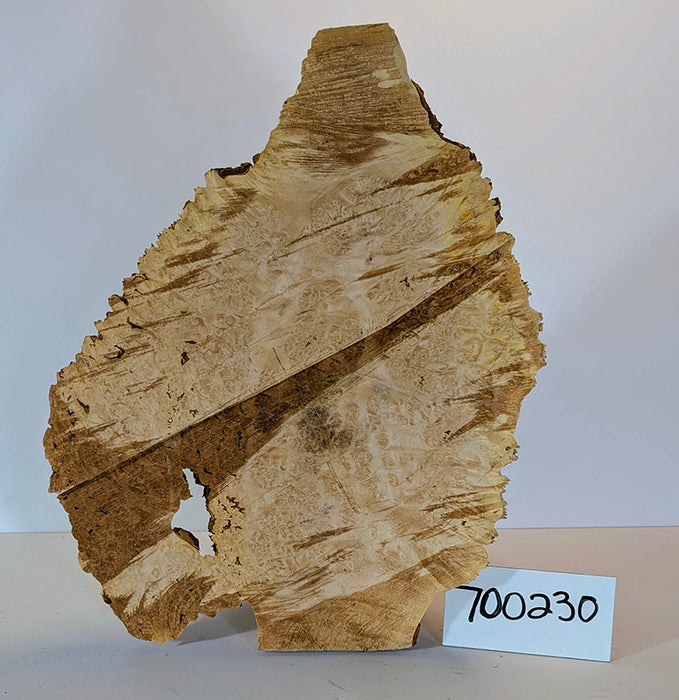 Maple Burl #700230