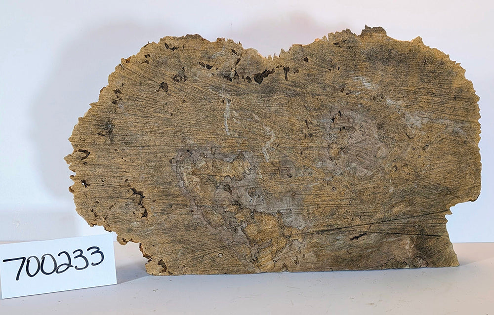 Maple Burl #700233