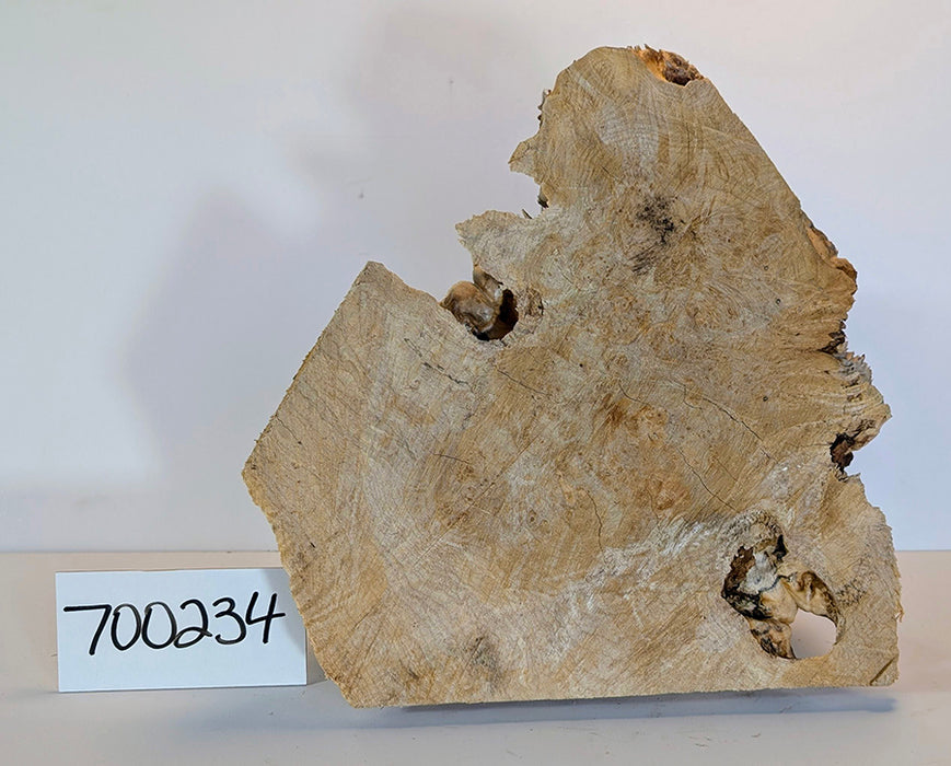 Maple Burl #700234