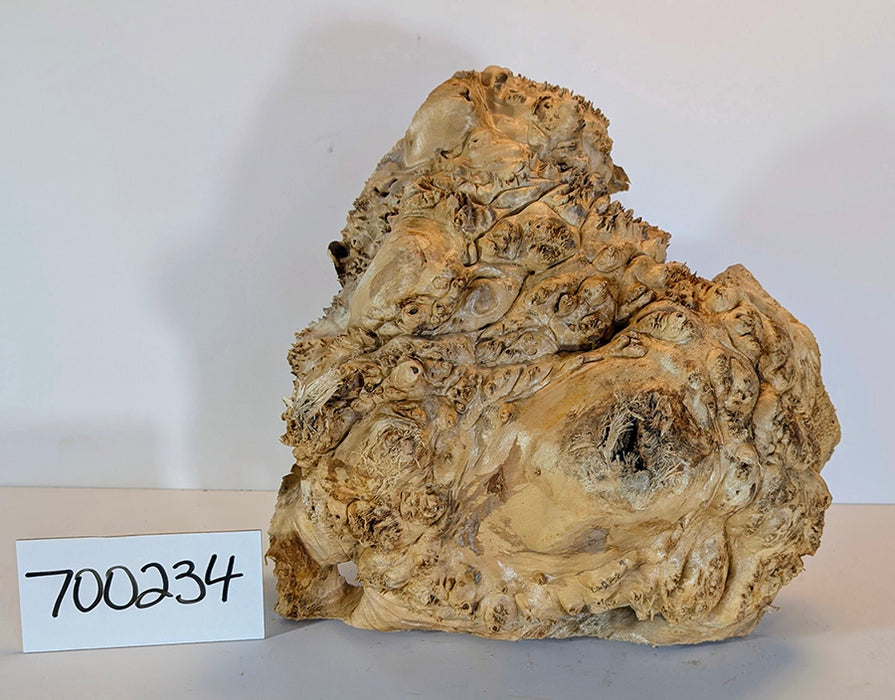 Maple Burl #700234