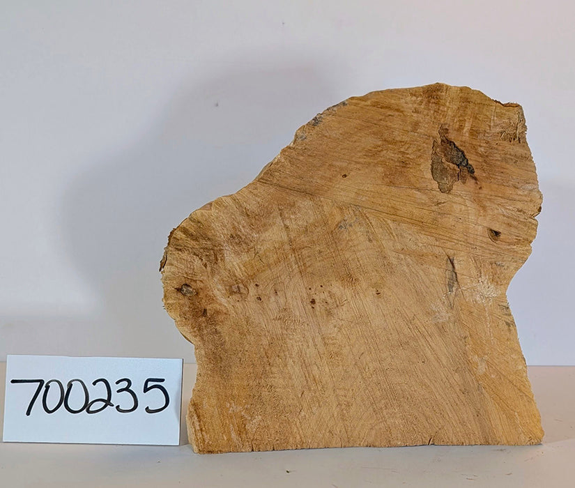Maple Burl #700235