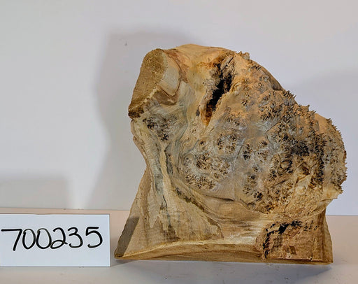 Maple Burl #700235