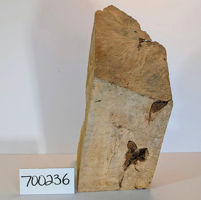Maple Burl #700236