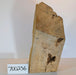 Maple Burl #700236