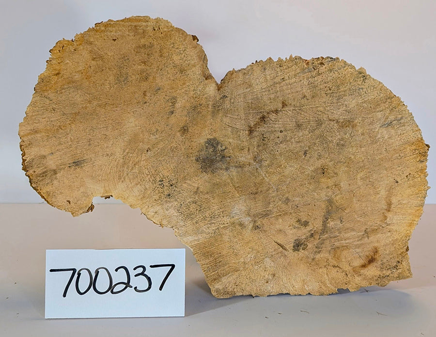 Maple Burl #700237
