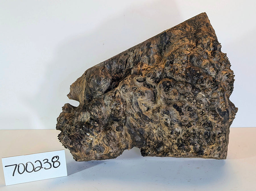 Maple Burl #700238