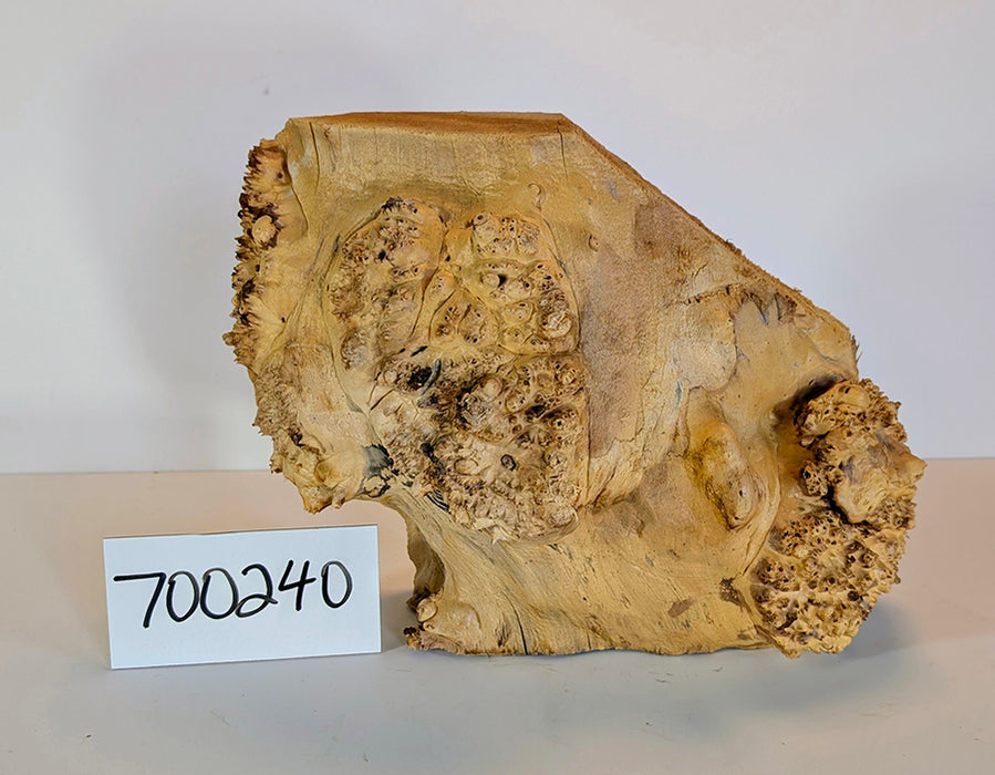 Maple Burl #700240