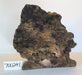 Maple Burl #700241