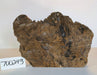 Maple Burl #700243