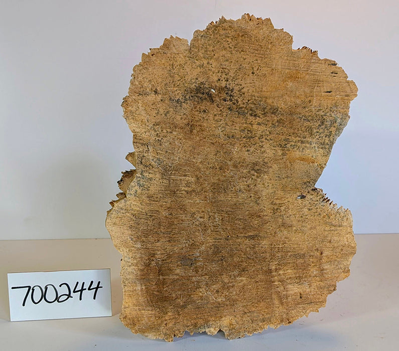 Maple Burl #700244