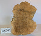 Maple Burl #700244