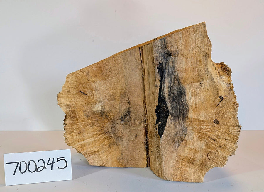 Maple Burl #700245