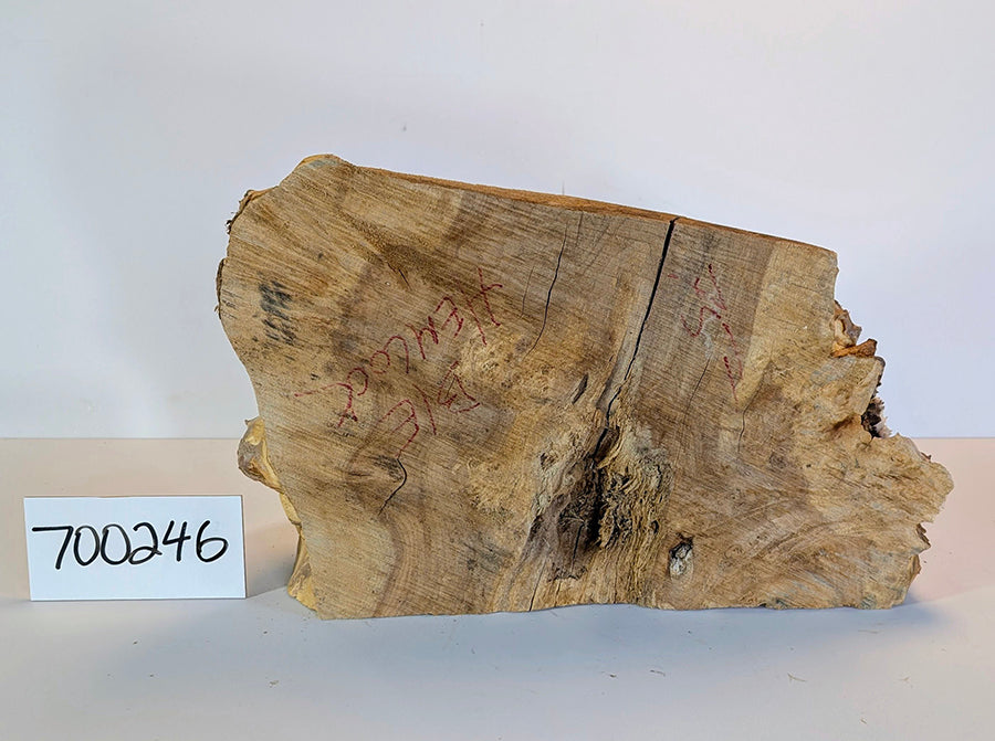 Maple Burl #700246