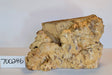 Maple Burl #700246