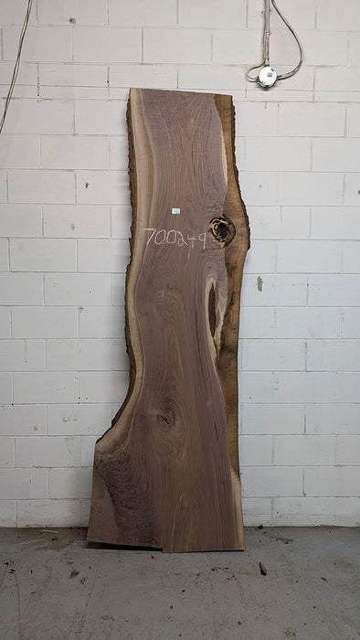 Walnut #700249