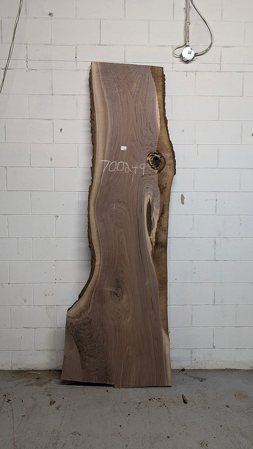 Walnut #700249