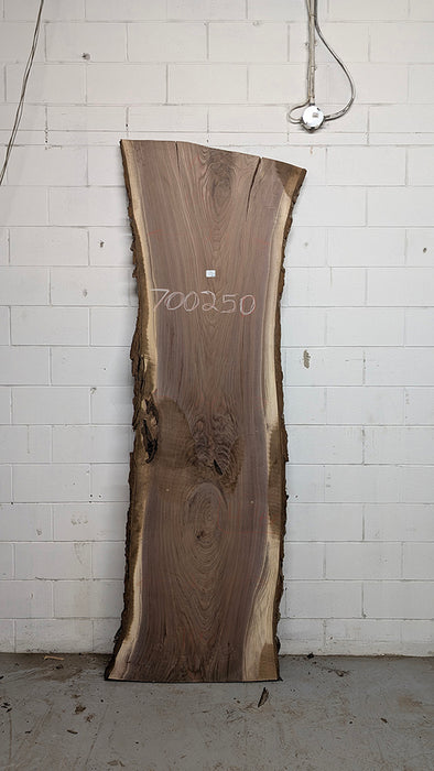 Walnut #700250