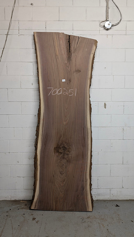 Walnut #700251