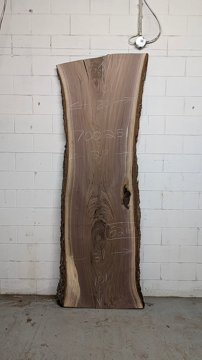 Walnut #700251