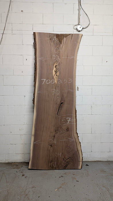 Walnut #700253